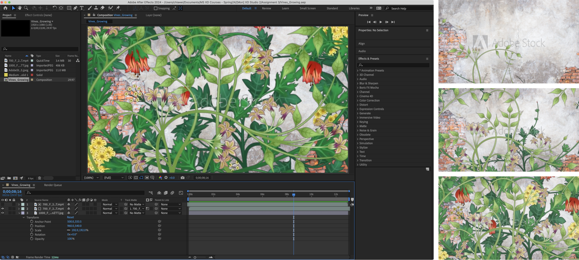 Initial demonstration of growth animation created using Adobe After Effects.